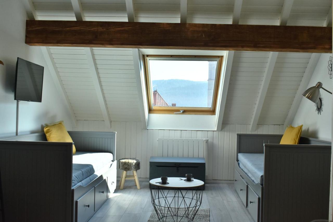 Studio, Le Petit Gris Des Montagnes * Mouthe